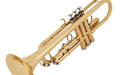 Trumpet lessons now available!