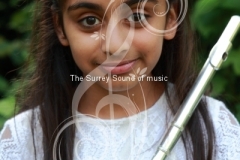 Surrey S of M 0007